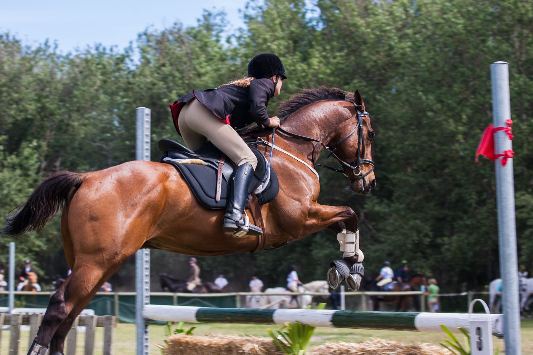 A horse and rider clearing a fence in a lesson